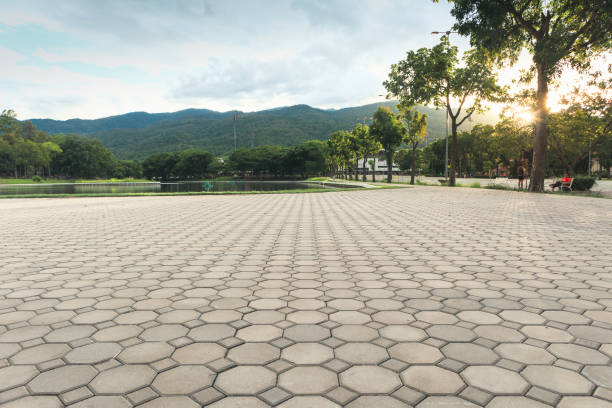 Best Professional Driveway Pavers  in Camp Point, IL