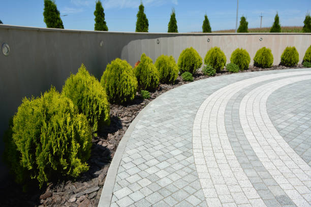 Best Driveway Pavers Installation  in Camp Point, IL
